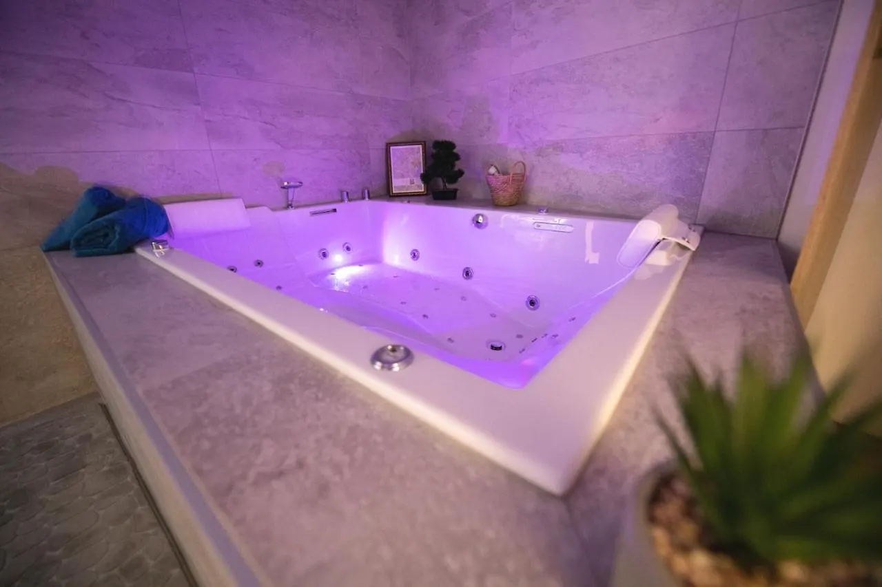 Appartement Lova Spa Saint-Etienne France