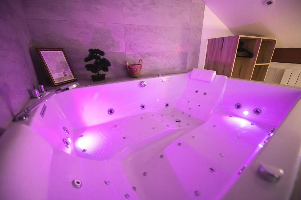 Appartement Lova Spa Saint-Etienne