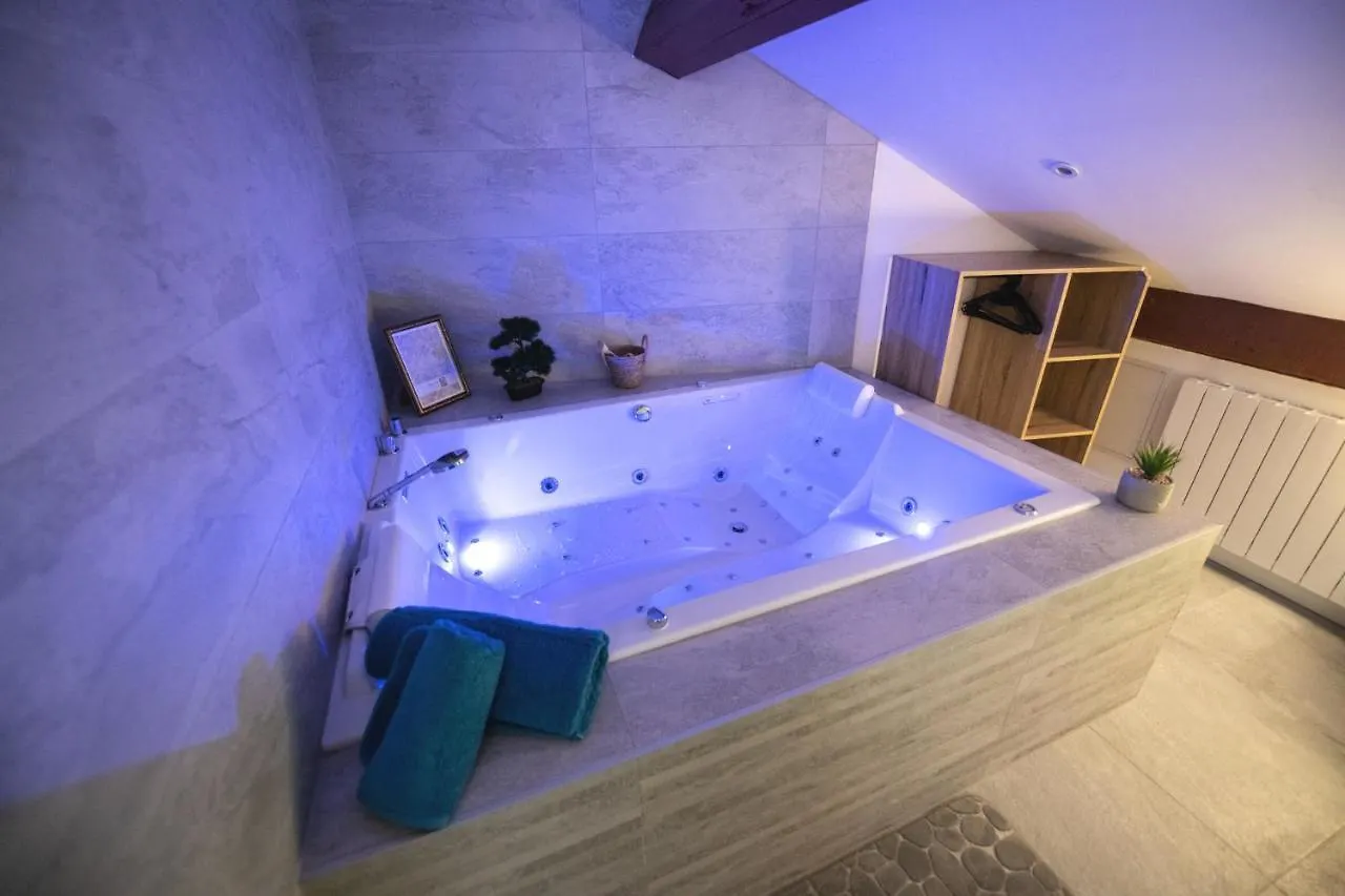 Lova Spa Saint-Etienne Appartement Saint-Etienne (Loire)